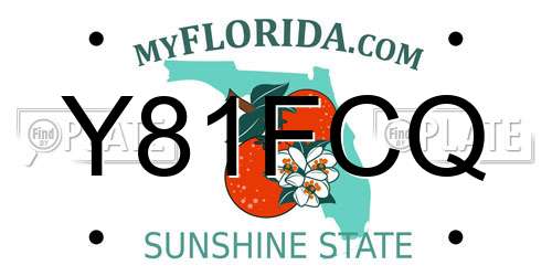 Y81FCQ Florida License Plate