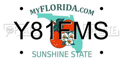 Y81FMS Florida License Plate