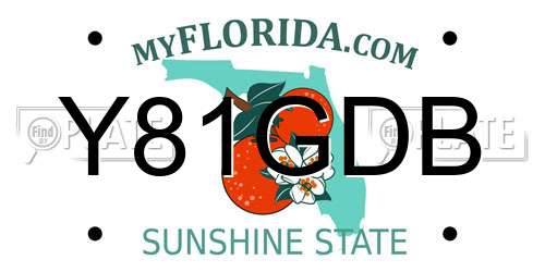 Y81GDB Florida License Plate