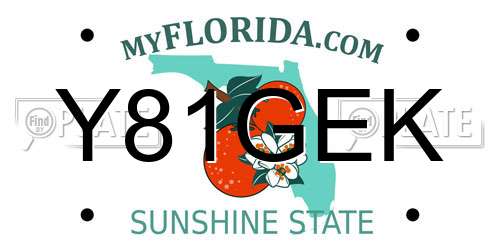 Y81GEK Florida License Plate