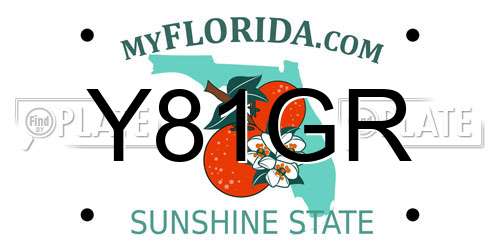 Y81GR Florida License Plate