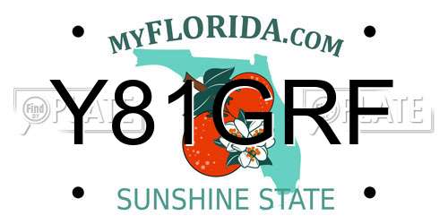 Y81GRF Florida License Plate