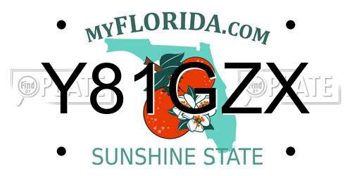 Y81GZX Florida License Plate