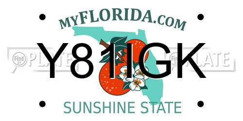 Y81IGK Florida License Plate