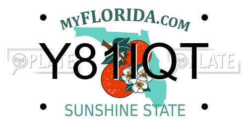 Y81IQT Florida License Plate