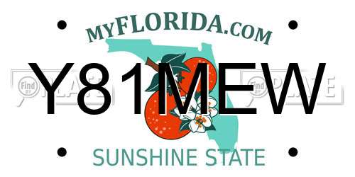 Y81MEW Florida License Plate