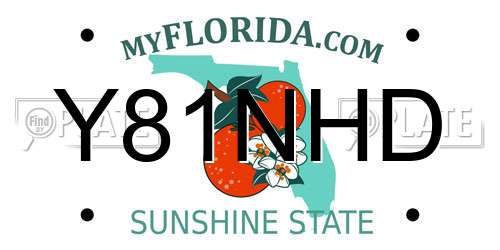 Y81NHD Florida License Plate