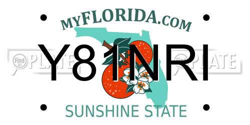 Y81NRI Florida License Plate