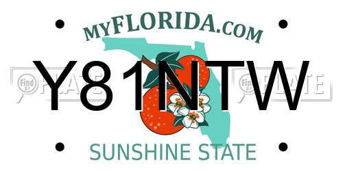 Y81NTW Florida License Plate