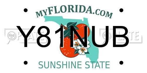 Y81NUB Florida License Plate
