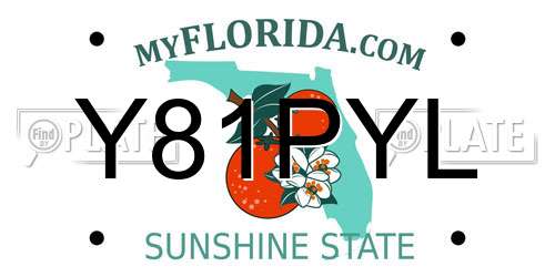 Y81PYL Florida License Plate
