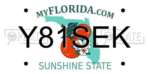 Y81SEK Florida License Plate