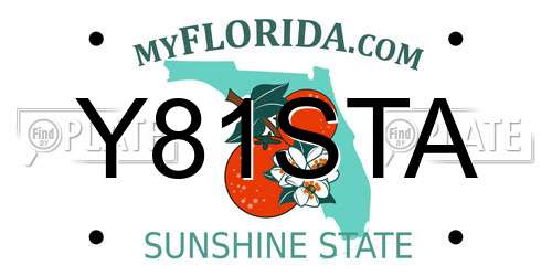 Y81STA Florida License Plate