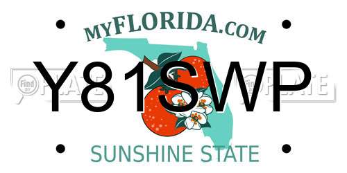 Y81SWP Florida License Plate