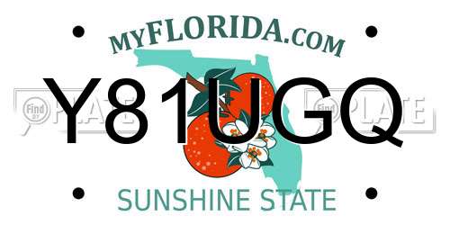 Y81UGQ Florida License Plate
