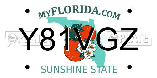 Y81VGZ Florida License Plate