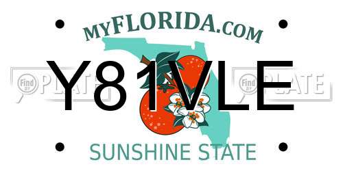 Y81VLE Florida License Plate