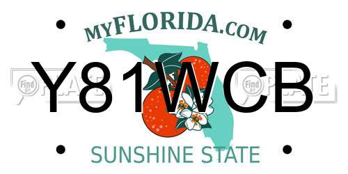 Y81WCB Florida License Plate