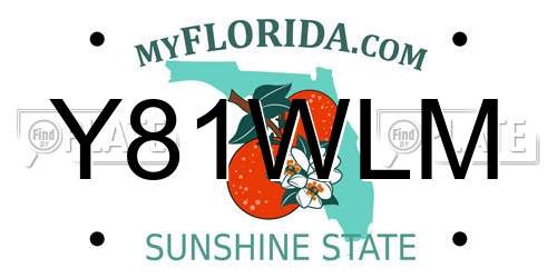 Y81WLM Florida License Plate