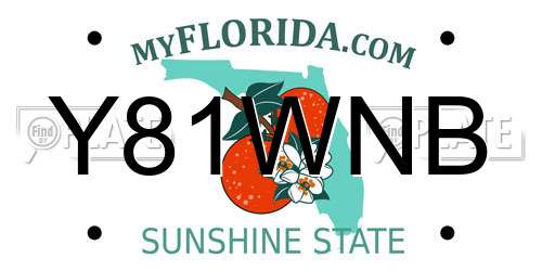 Y81WNB Florida License Plate