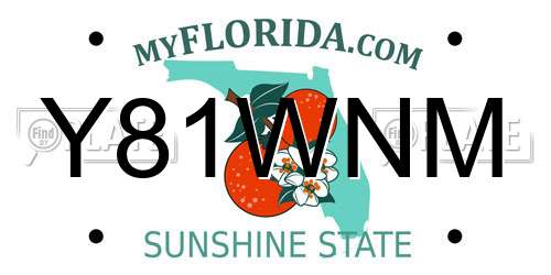 Y81WNM Florida License Plate