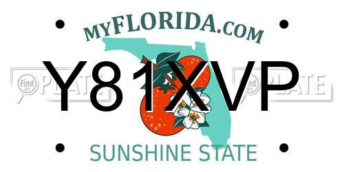 Y81XVP Florida License Plate