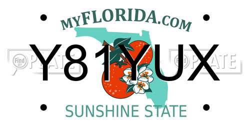 Y81YUX Florida License Plate
