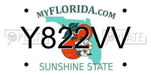 Y822VV Florida License Plate