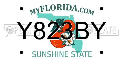 Y823BY Florida License Plate