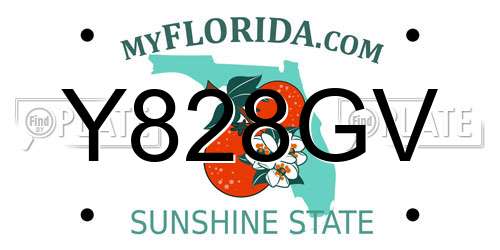 Y828GV Florida License Plate