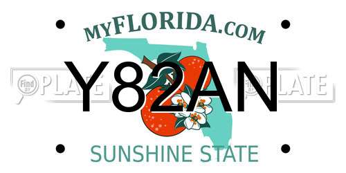 Y82AN Florida License Plate