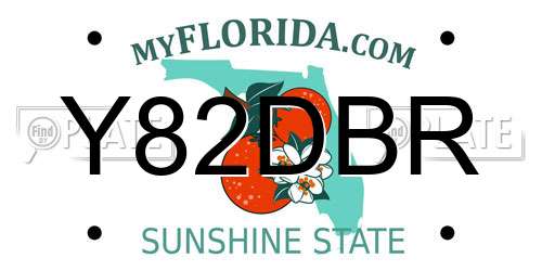 Y82DBR Florida License Plate