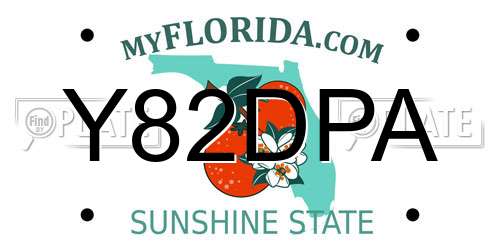 Y82DPA Florida License Plate