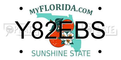 Y82EBS Florida License Plate