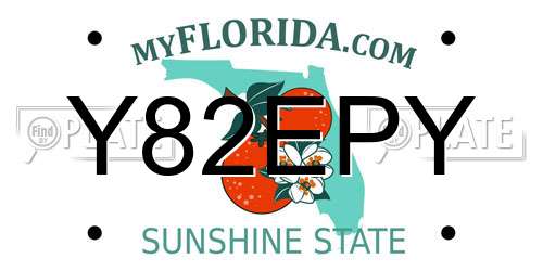 Y82EPY Florida License Plate
