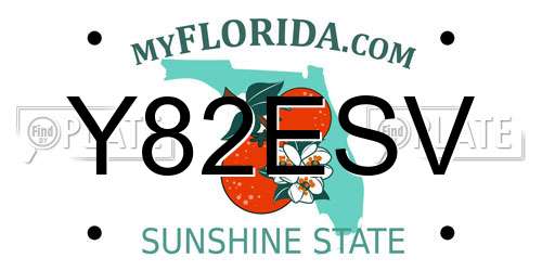 Y82ESV Florida License Plate