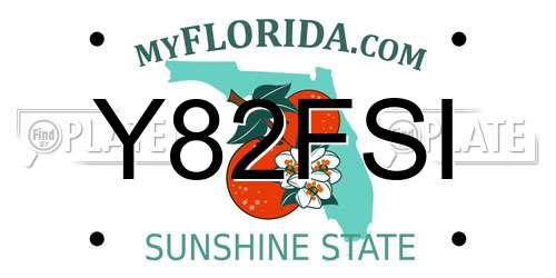 Y82FSI Florida License Plate