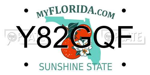 Y82GQF Florida License Plate