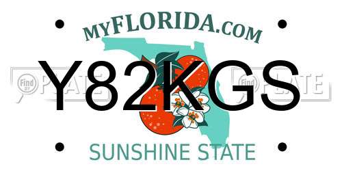 Y82KGS Florida License Plate