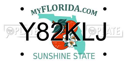 Y82KLJ Florida License Plate