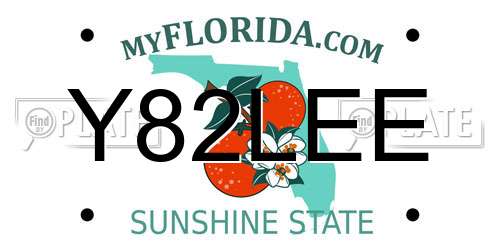 Y82LEE Florida License Plate