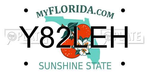 Y82LEH Florida License Plate