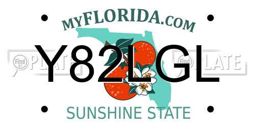 Y82LGL Florida License Plate