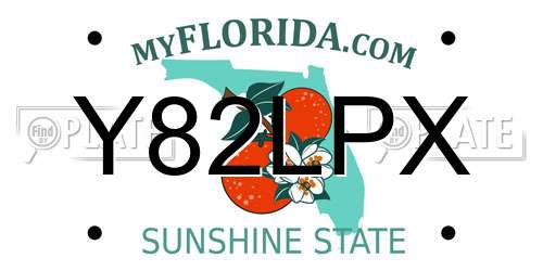 Y82LPX Florida License Plate