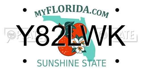 Y82LWK Florida License Plate