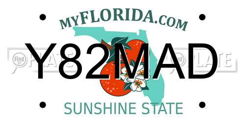 Y82MAD Florida License Plate