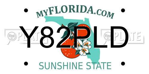 Y82PLD Florida License Plate