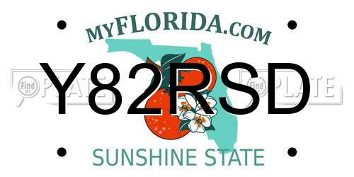 Y82RSD Florida License Plate