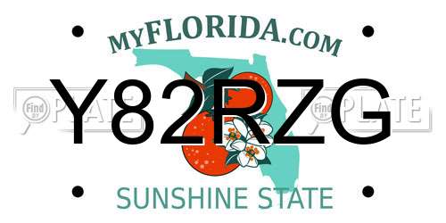 Y82RZG Florida License Plate