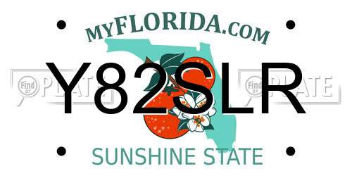 Y82SLR Florida License Plate